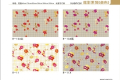 长春炫彩-图册10