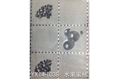 长春YX14-TO38 水果蜜柚